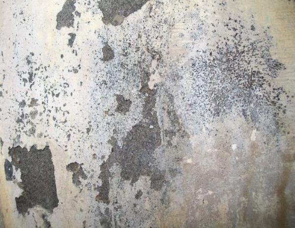 Dirt Wall - دانلود تکسچر دیوار کثیف - تکسچر با کیفیت دیوار کثیف -Download Dirt Wall texture 